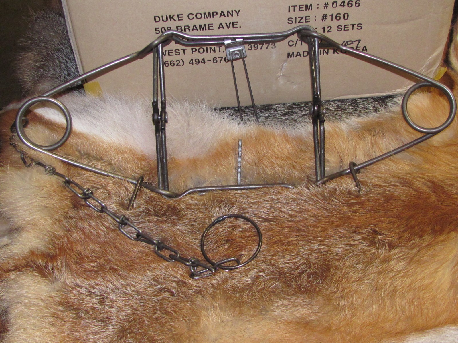 12 DUKE 160 BODY TRAPS RACCOON, MUSKRAT, MINK FISHER, GROUNDHOG new sale