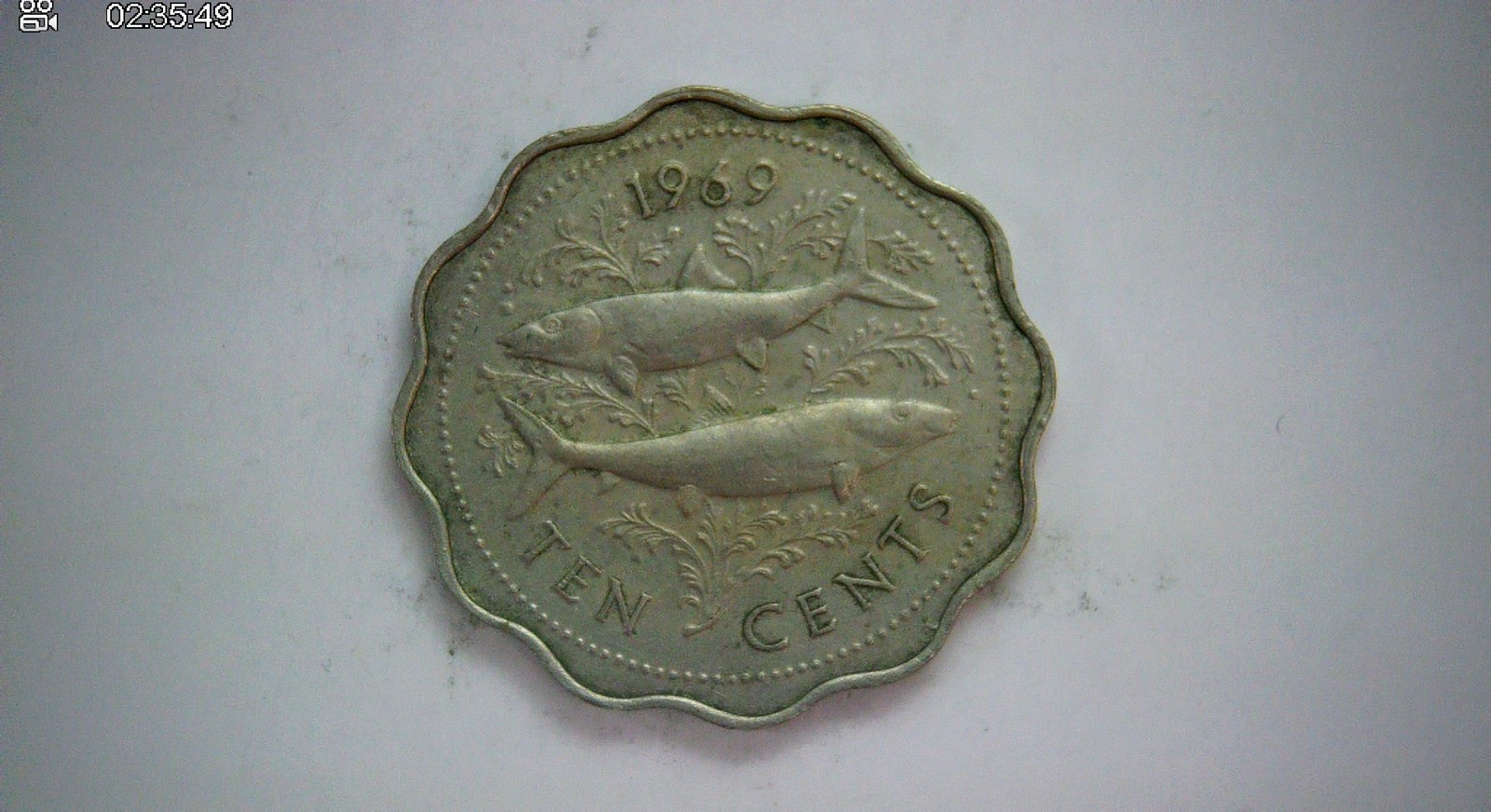Bahamas 1969 10 Cents Bahamas scalloped 10 cents (bonefish) Coin