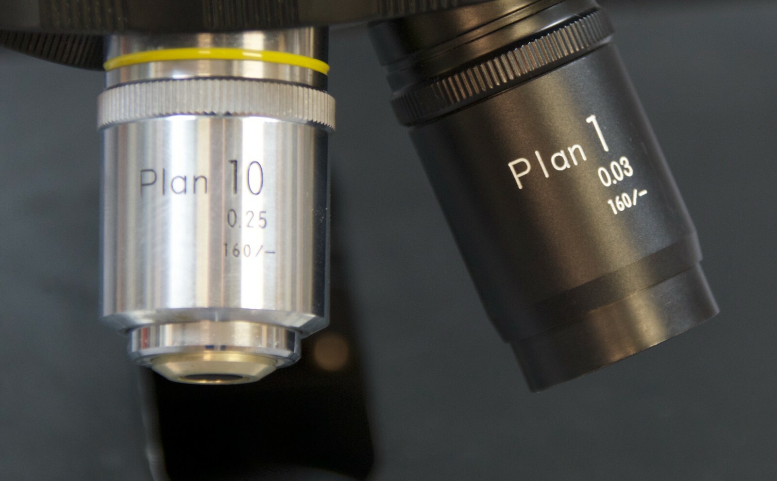 Nikon Diaphot Microscope (R10)