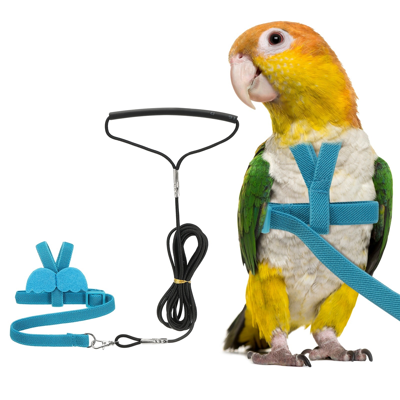 Bird Harness Leash Pet Parrot Bird Harness and Leash with Cute Wing Blue S