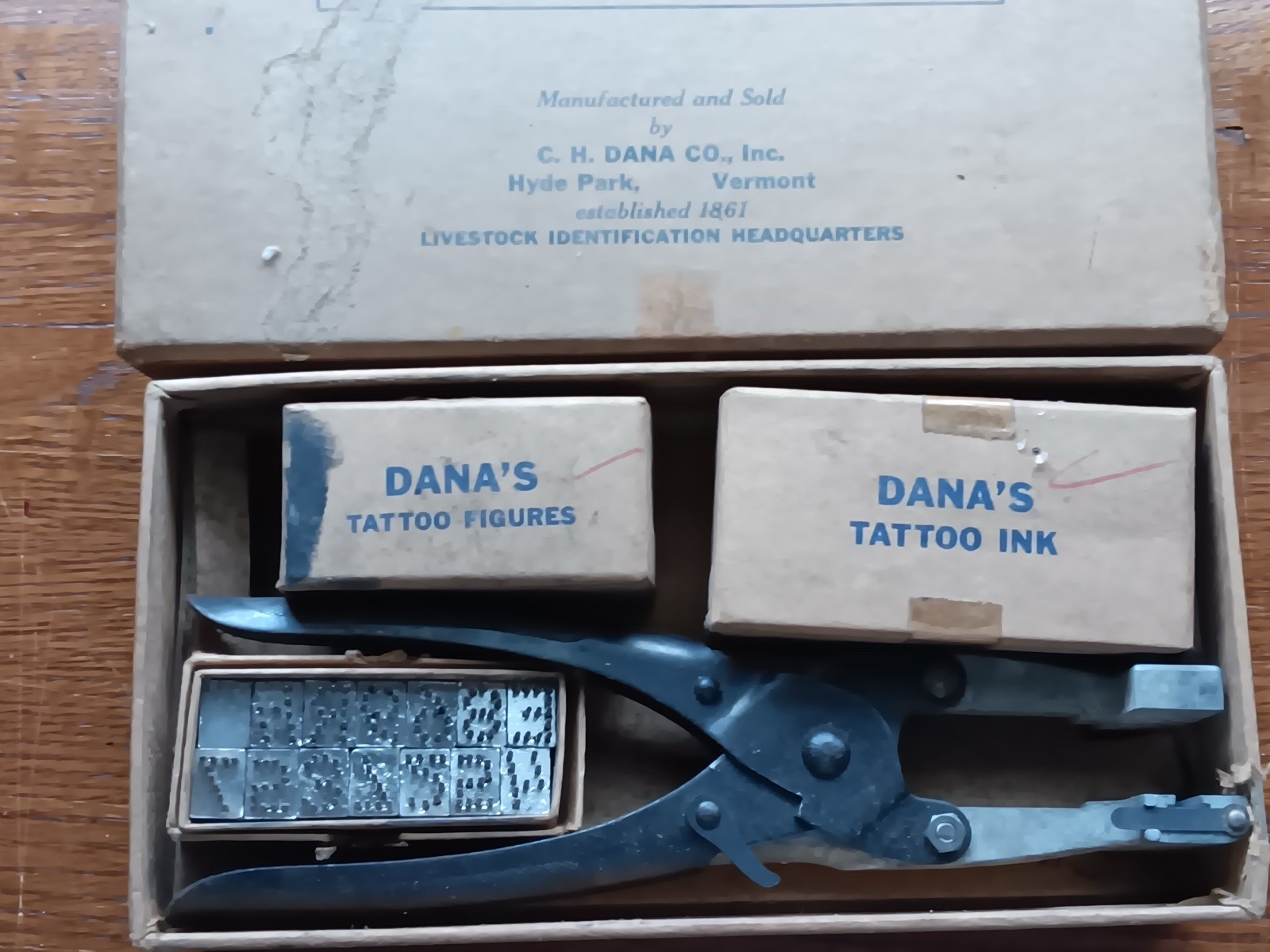 DANA'S Tattoo Outfit Vintage/Rare C Pics