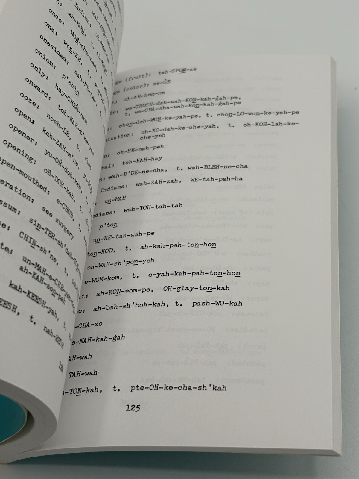 Dakotah Sioux Indians Dictionary Paul Warcloud 1999