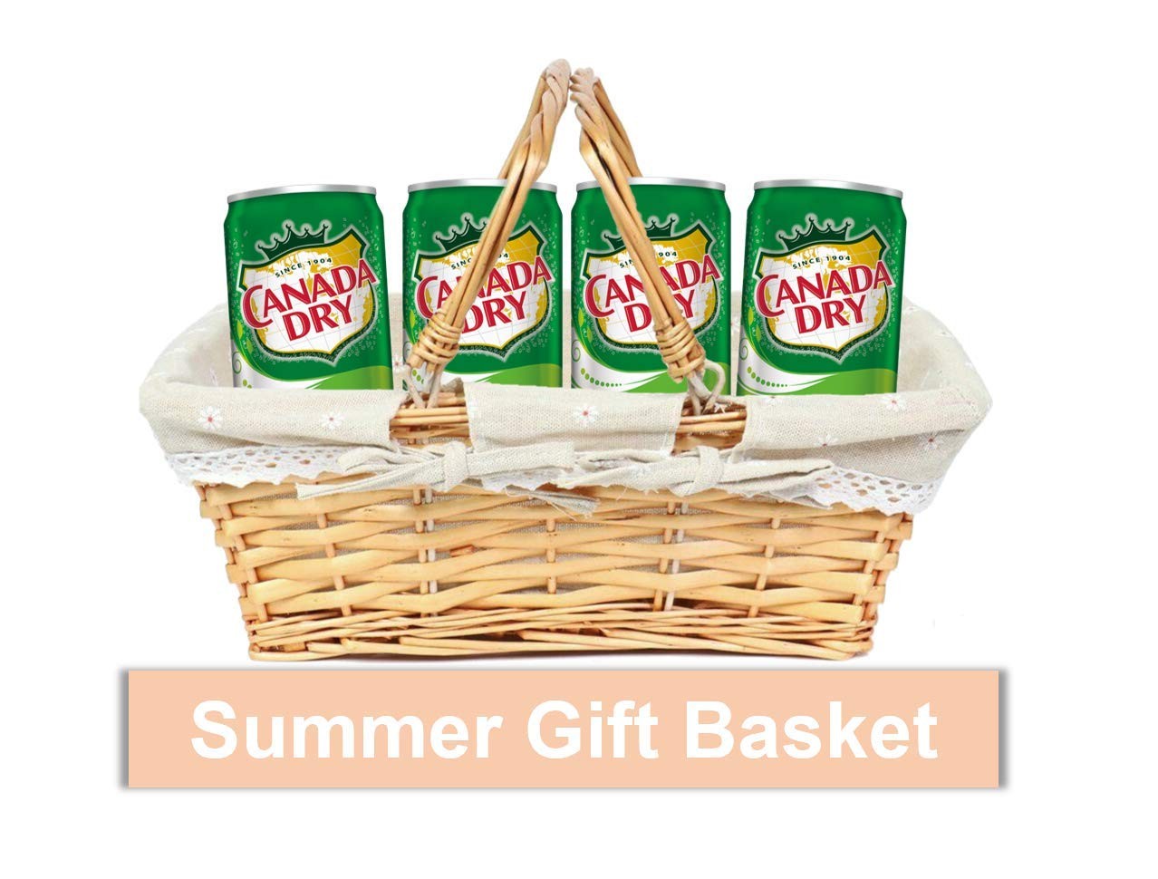 Ginger Ale Mini Soda Cans, 7.5 oz Soft Drinks Bulk Snacks 24 Pack, Small