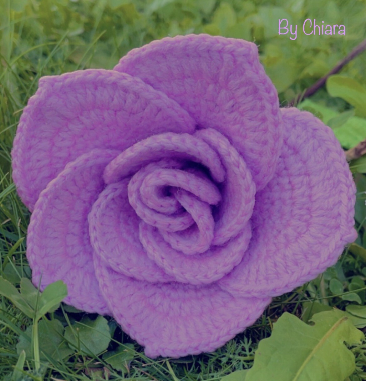 Rose Crochet