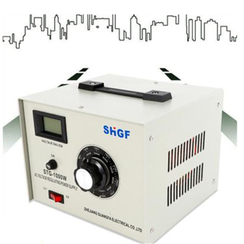 Single-Phase STG-1000W Variac Transformer Variable AC Voltage Regulator 0-300V