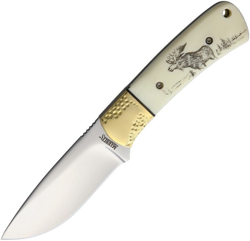 Marbles Bone Handle Moose Scrimshaw Fixed Blade Knife w/Nylon Sheath - BZ011160