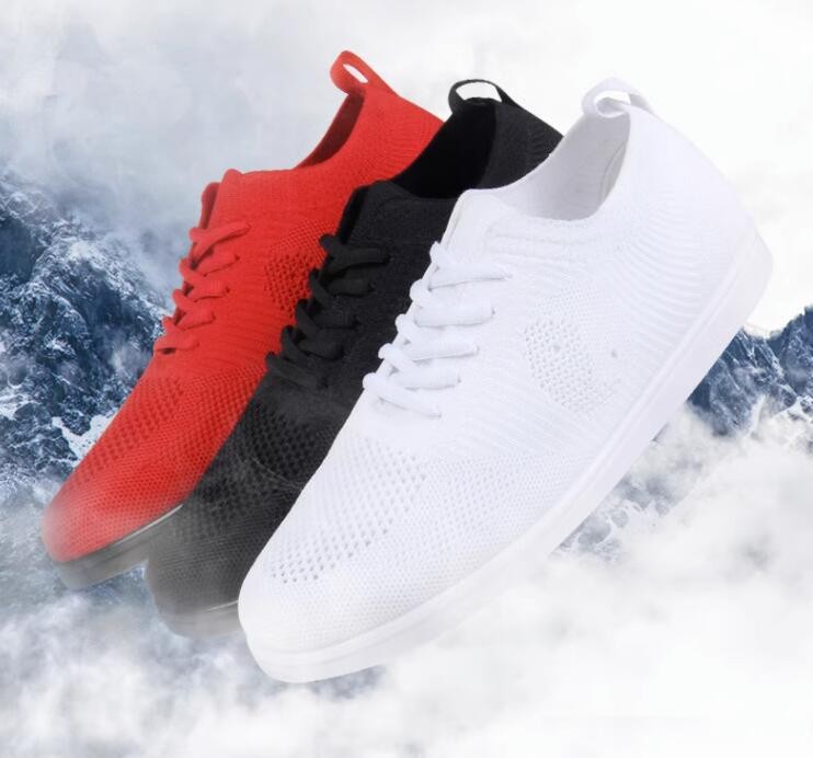 Summer Unisex Wushu Kung Fu Martial Arts Tai Chi Wing Chun shoes Mesh Footwear