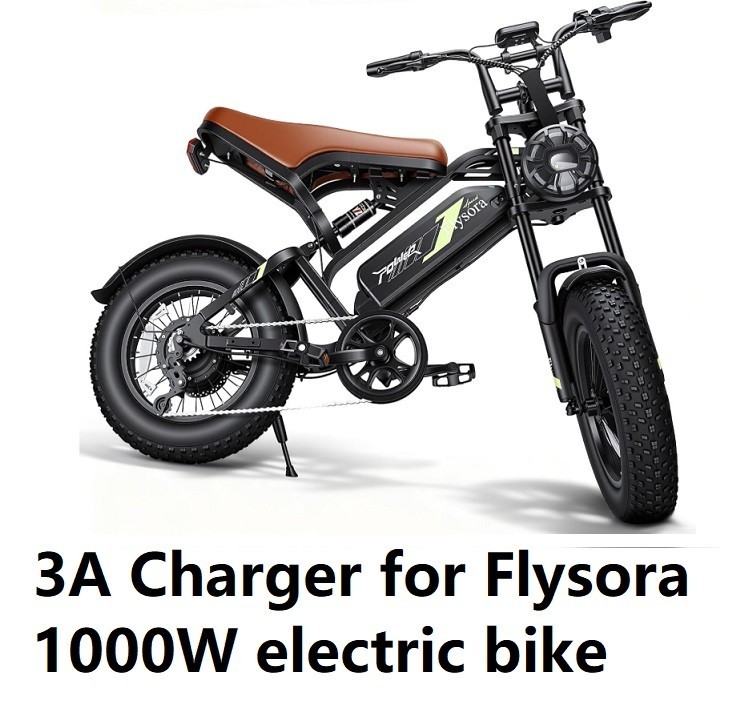🔥3a fast charger for Deepower  QS7 Flysora adults 48v fat tire bike