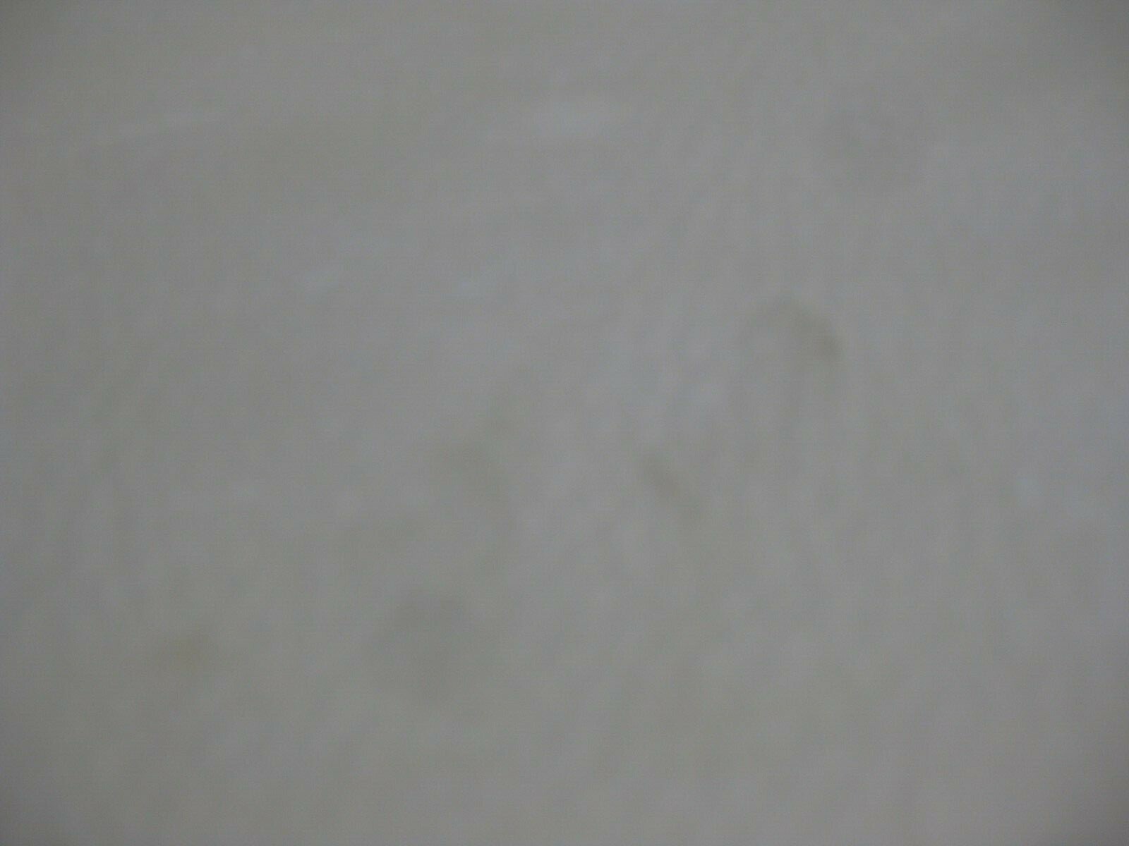 Nubuck Deer Leather # 0013608 ROW SS