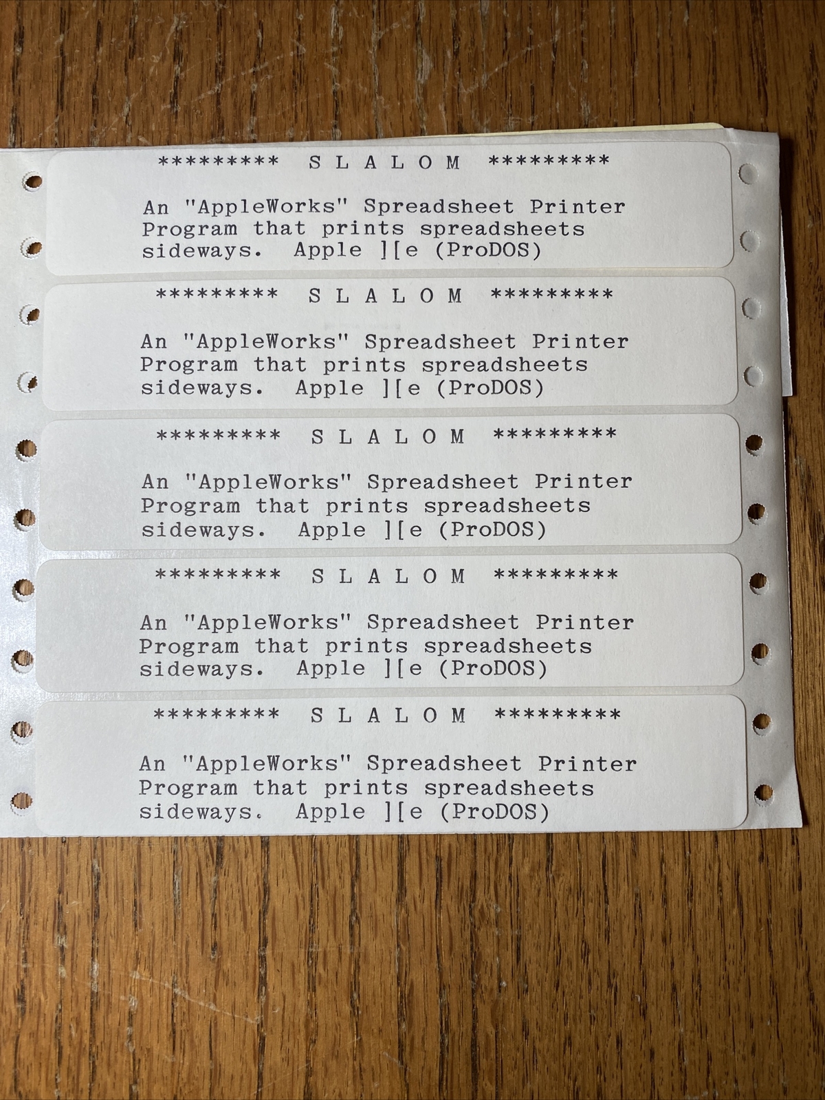 Apple IIe IIc Software SLALOM By Big Red Spreadsheet Printer Program