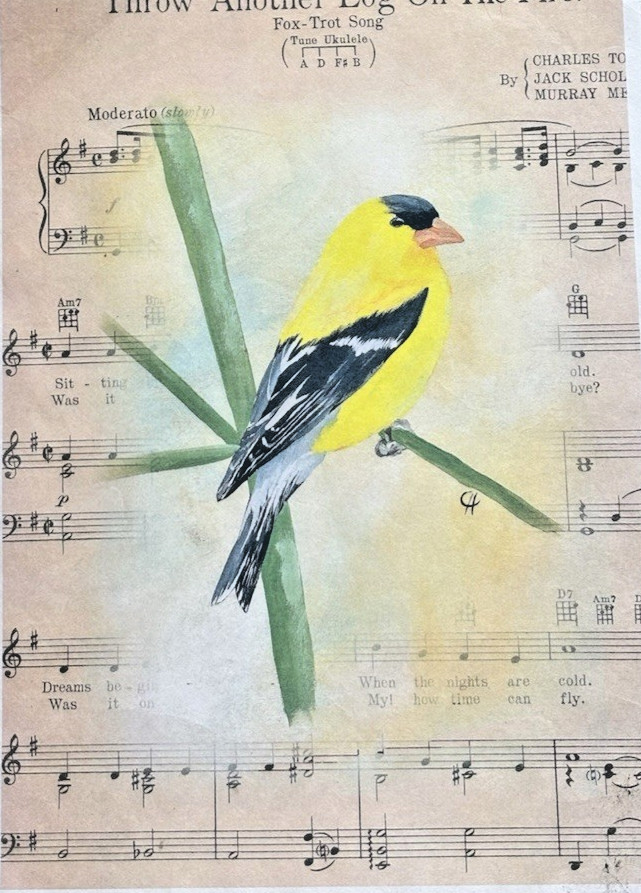Painted Photographer Connie Lines A4 YELLOW FINCH Decoupage Paper