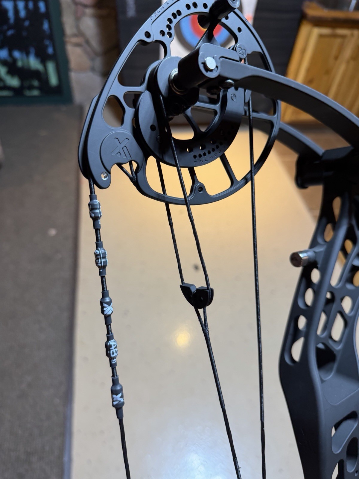 Xpedition Archery XLITE 29. 29/60 RH Compound Bow