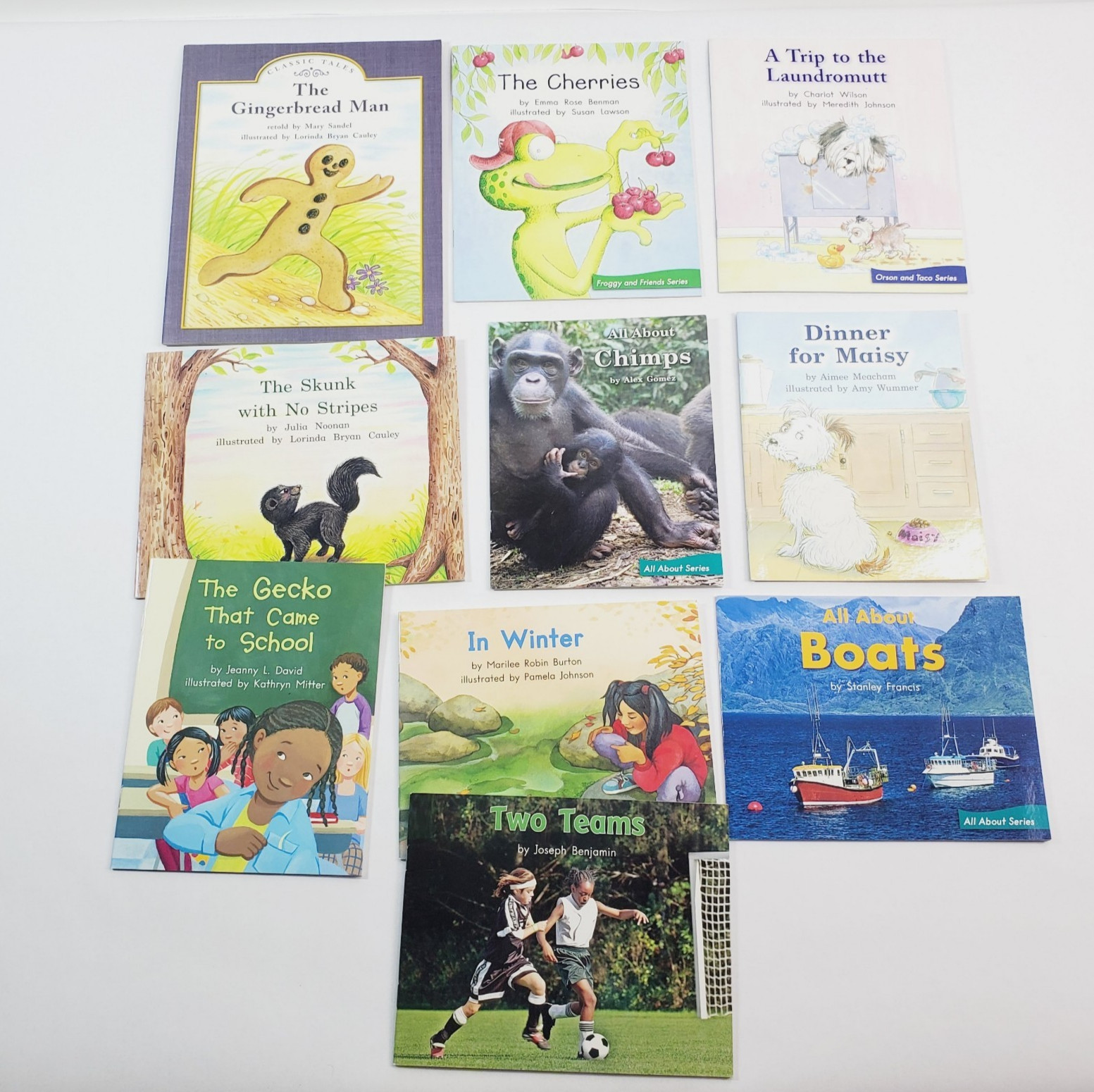 Lot of 10 Fountas & Pinnell LLI Green System Level H Leveled Readers Grade 1