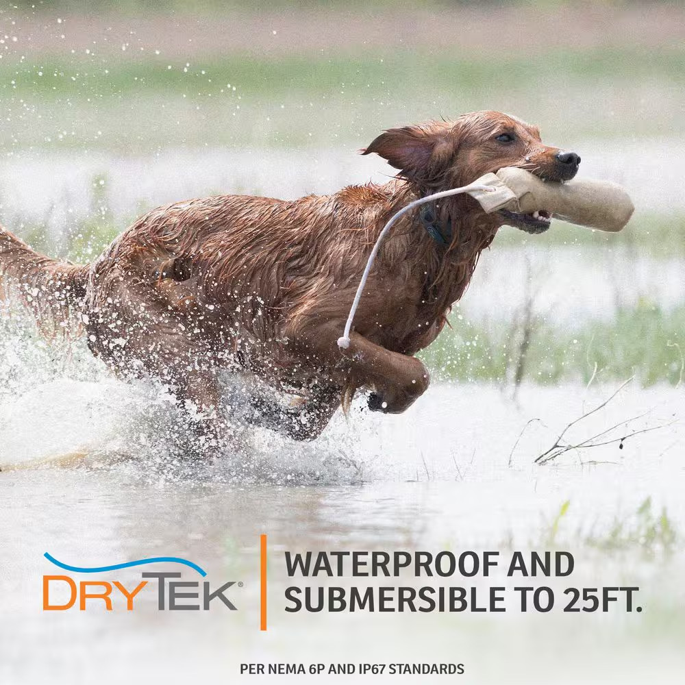 Fieldtrainer 425X Remote Trainer - 500 Yard Range - Waterproof, Rechargeable Tra