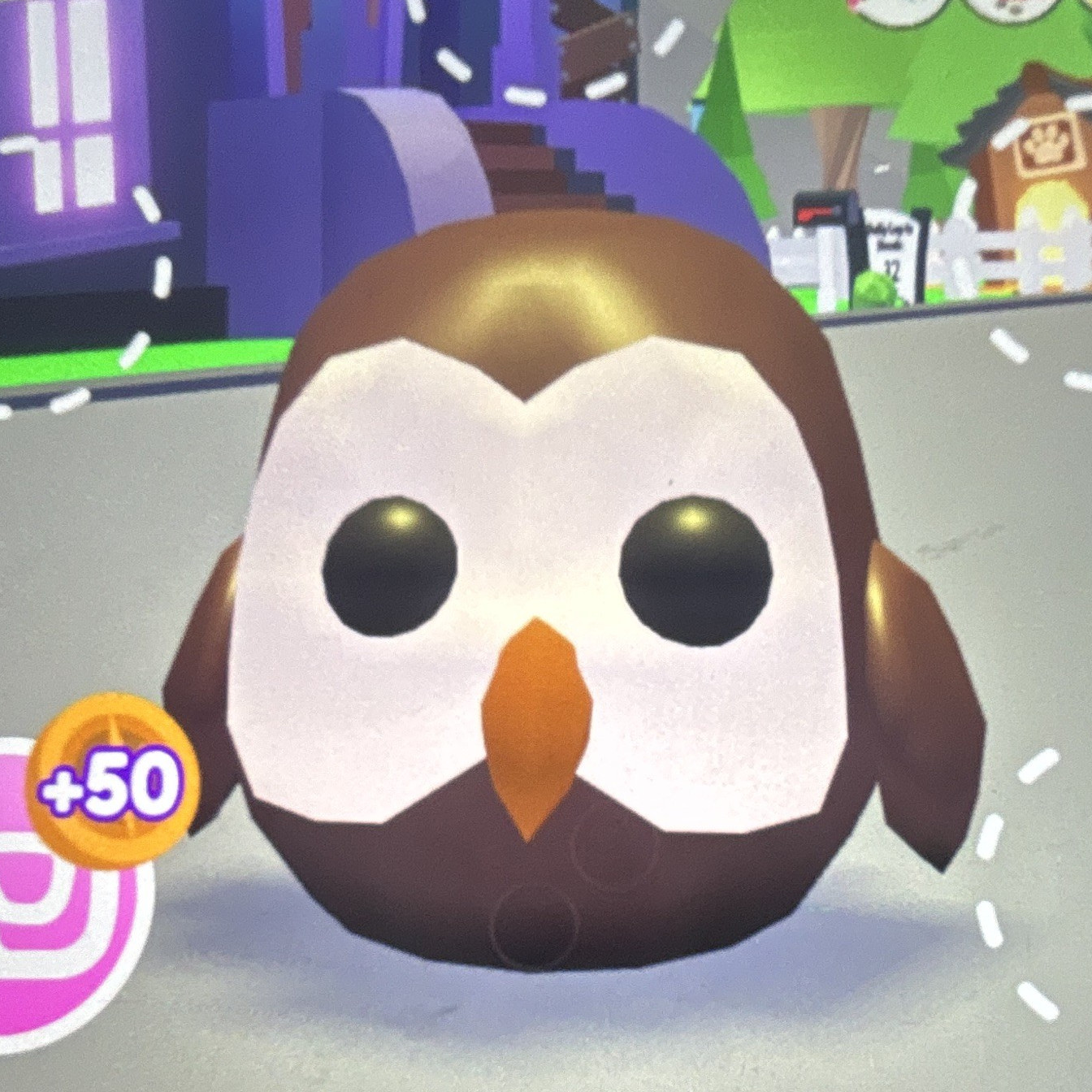Adopt Me! Owl Pet - CHECK DESCRIPTION