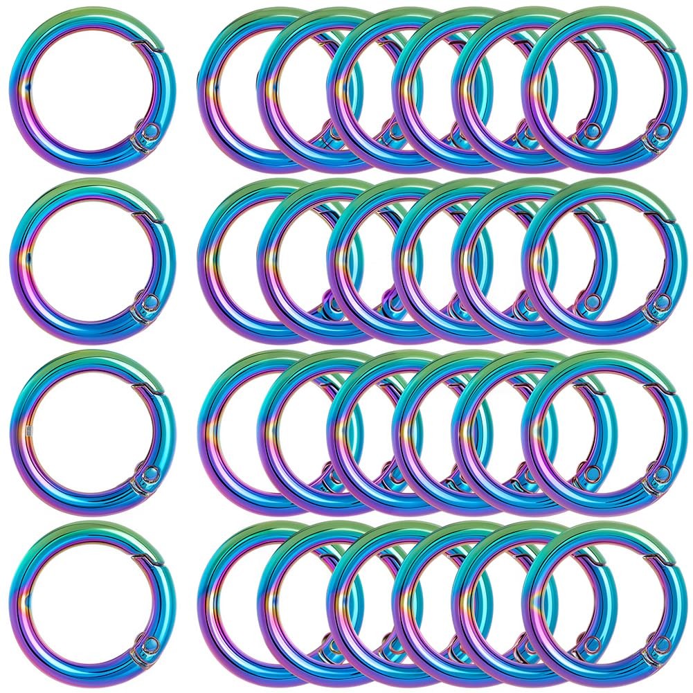 1 Box 20Pc Metal Spring O Rings 20mm Round Carabiner Keyring Rainbow Color Tr...
