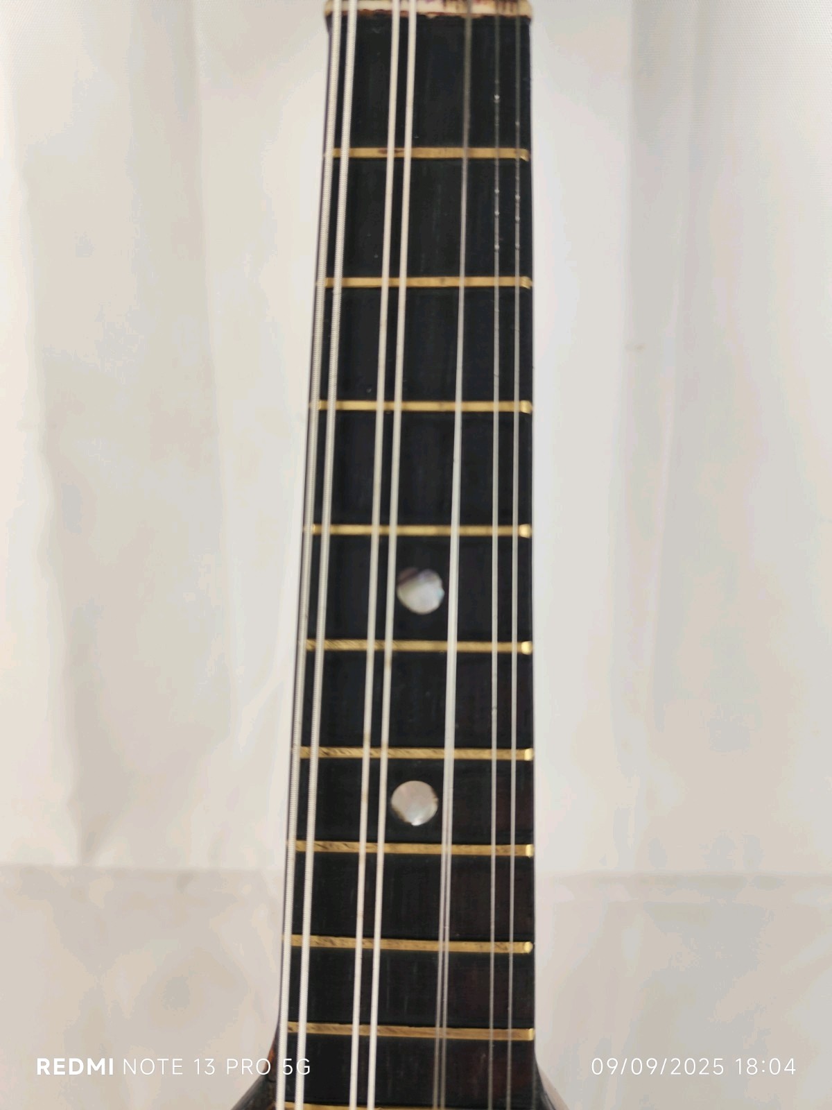 Giuseppe Redentore 4/4 Mandolin