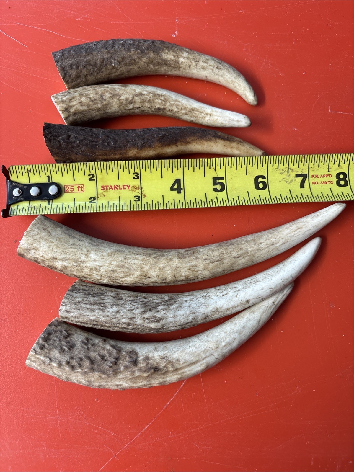 Lot-E128 Elk Antler Tips for Knife Material Handle Material