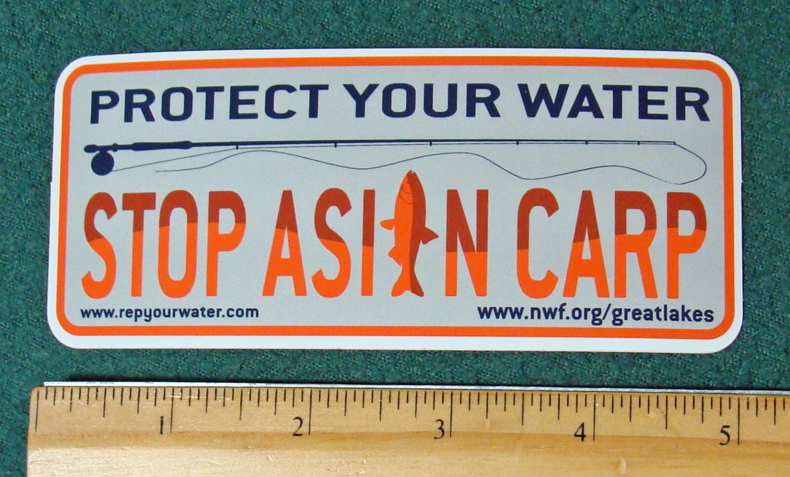 Stop Asian Carp Sticker Decal Fish Fishing Flyfishing Protect Your Water NWF