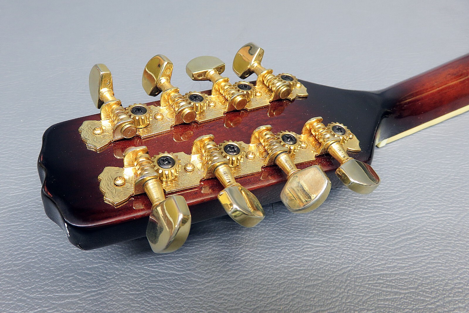 Mandolin Vester