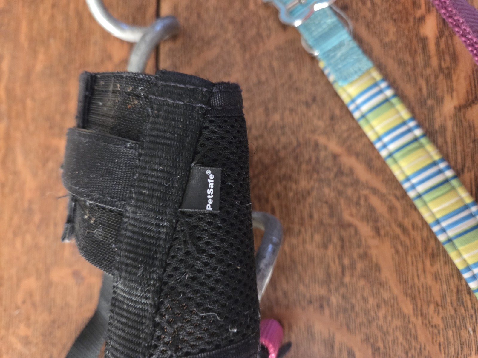 Dog Collar, Muzzle Lot