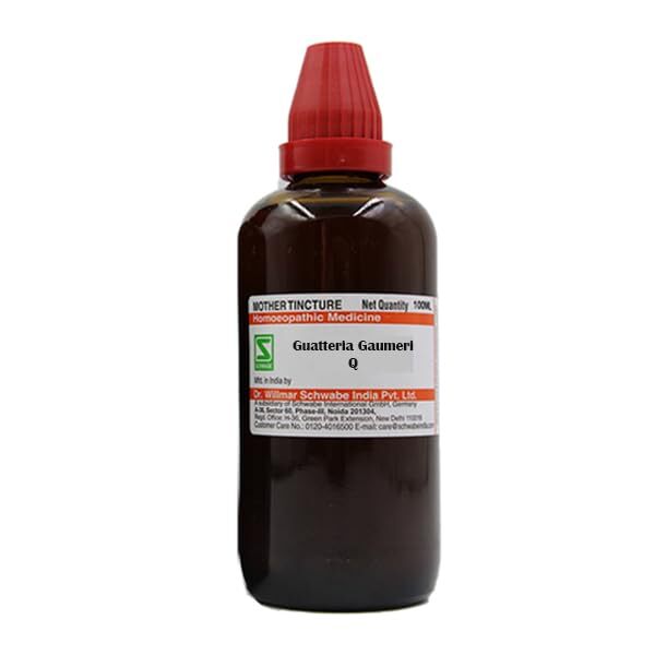 Willmar Schwabe India Guatteria Gaumeri Mother Tincture Q (Size 30/100ml)