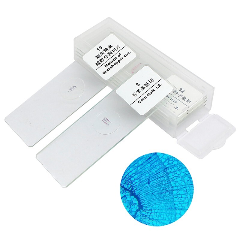 5 Pcs Mixed Microscope Prepared Slide Biological Teaching Studying Children Gift
