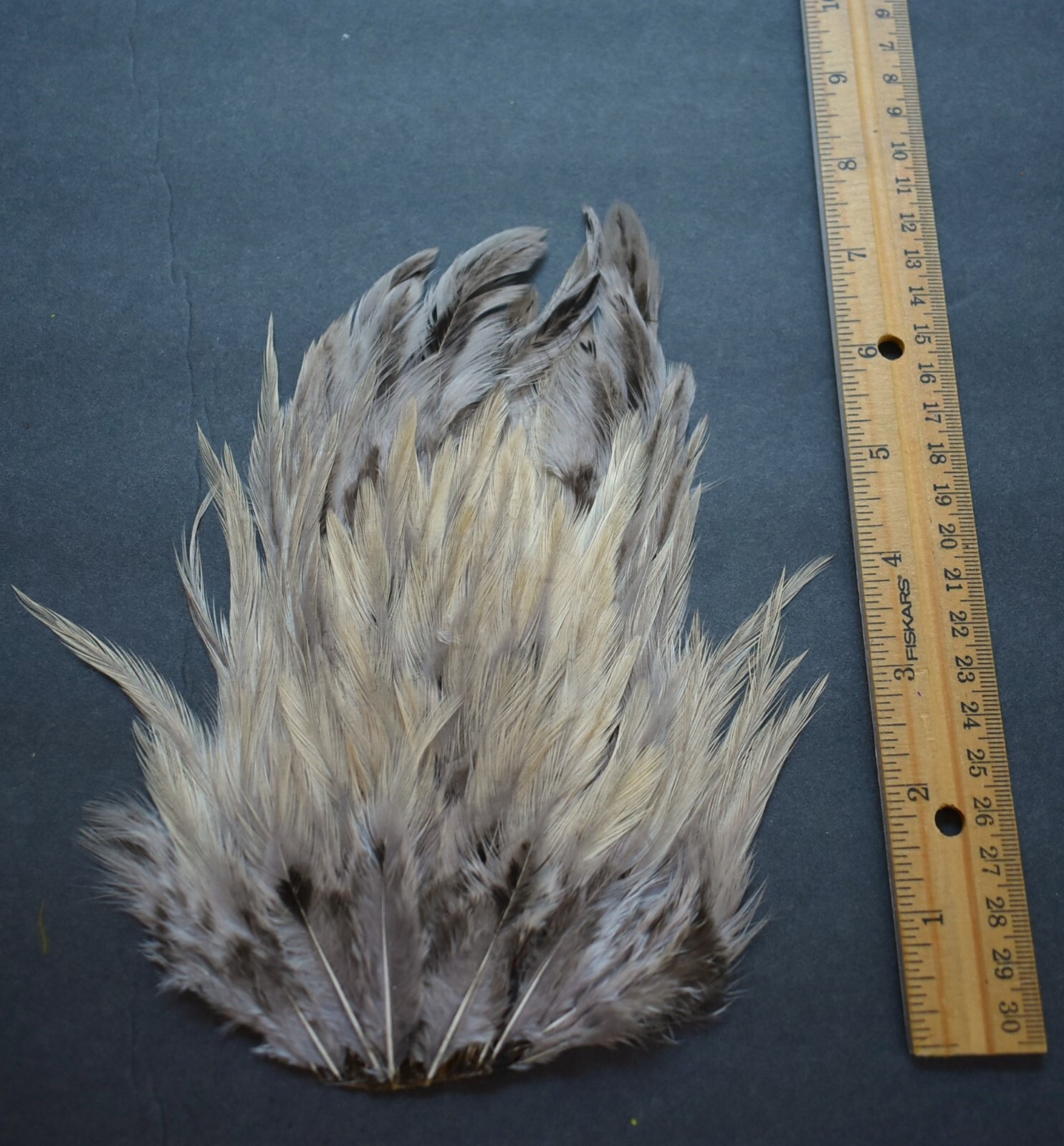 Lot  51,  Dyed Tan Dun India Rooster Saddle Feathers for Fly Tying Jewelry