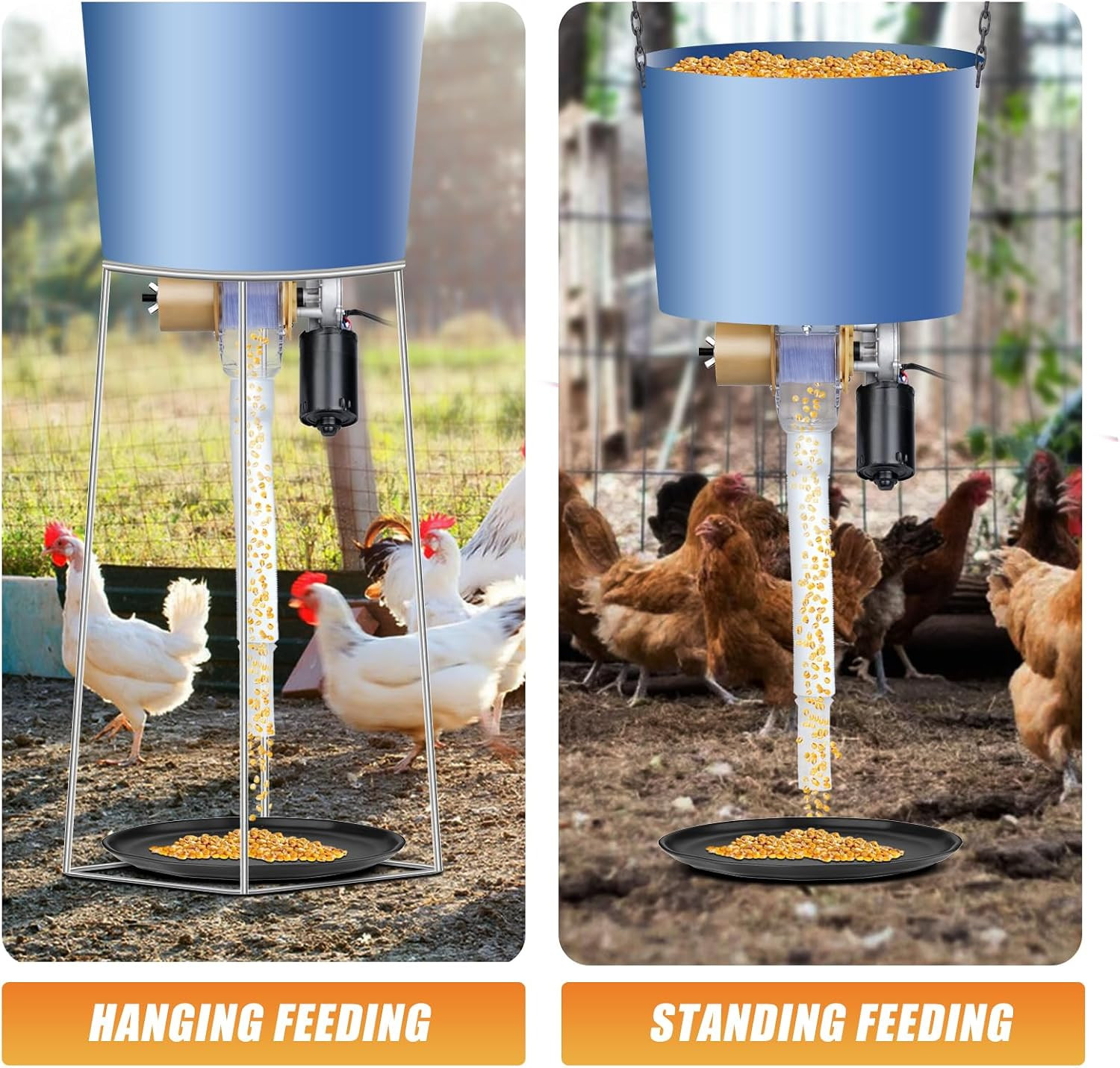 Timed Automatic Chicken Feeder 16 Groups of Timer & Quantitative | Chicken Feede