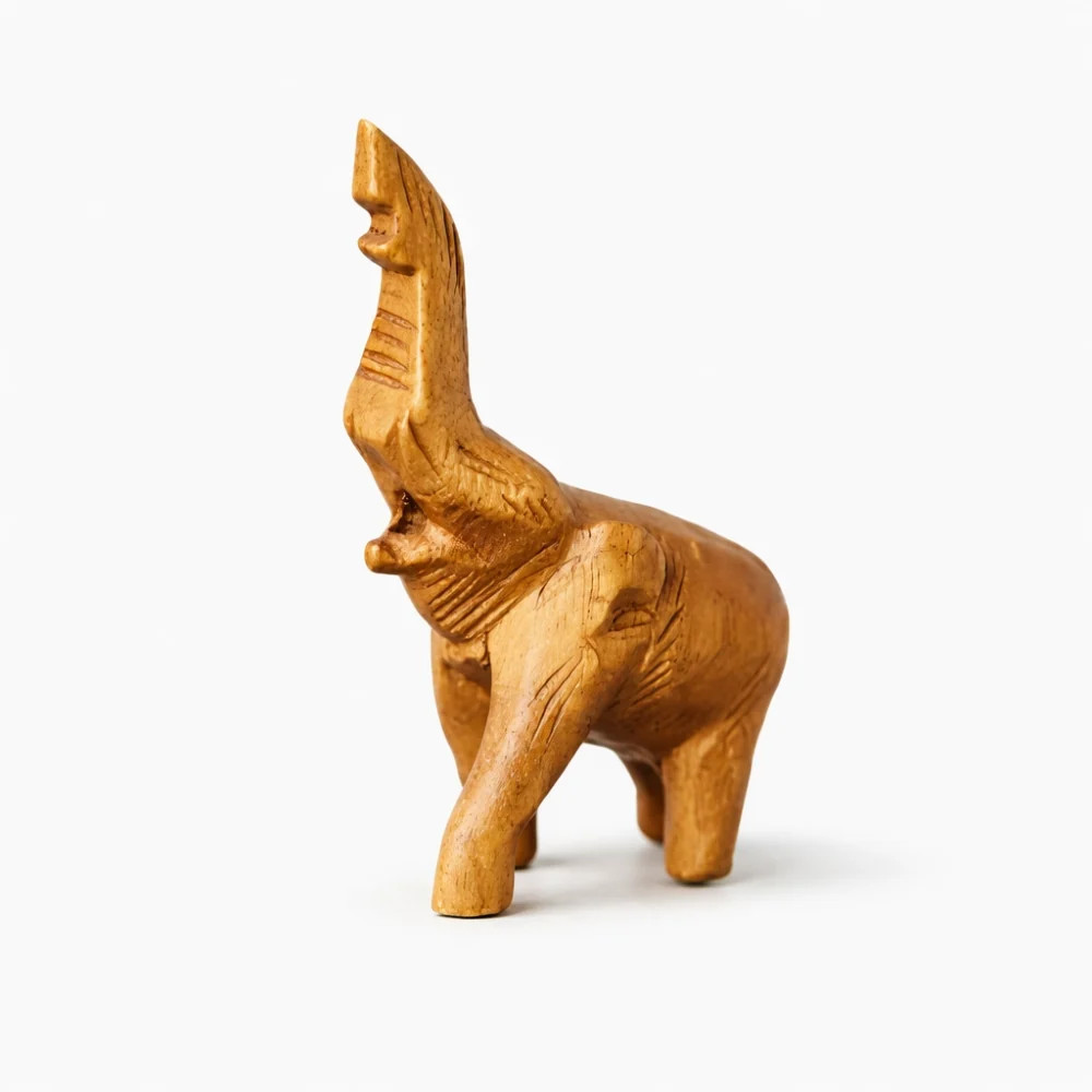 Noisy Elephant Whistle