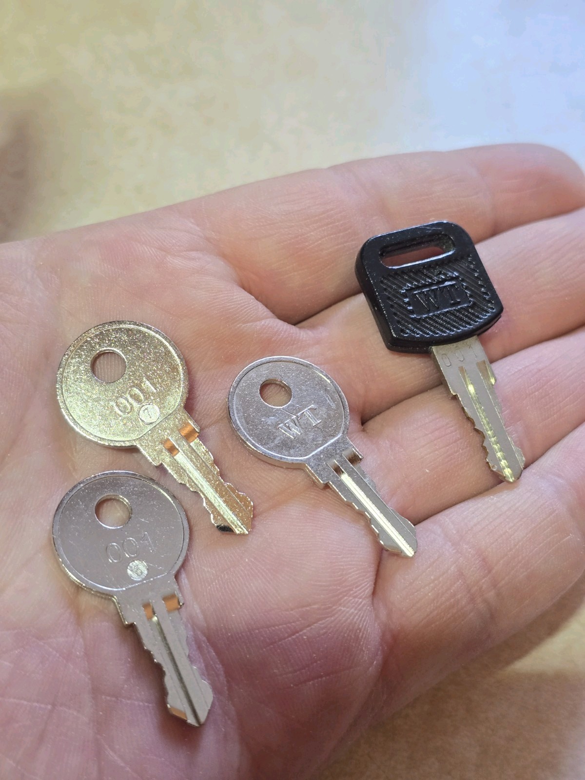 Wangtong 001 Key