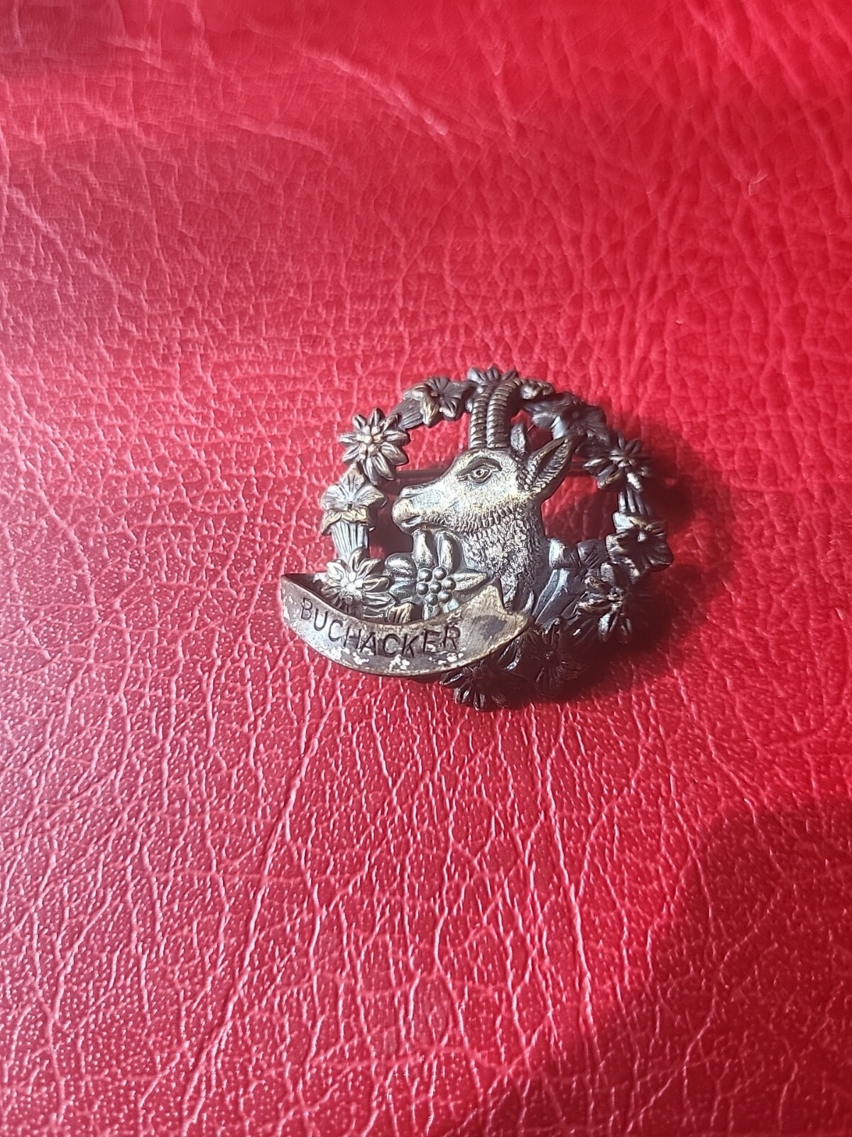 Pin hatpin hiking pin brooch Buchacker