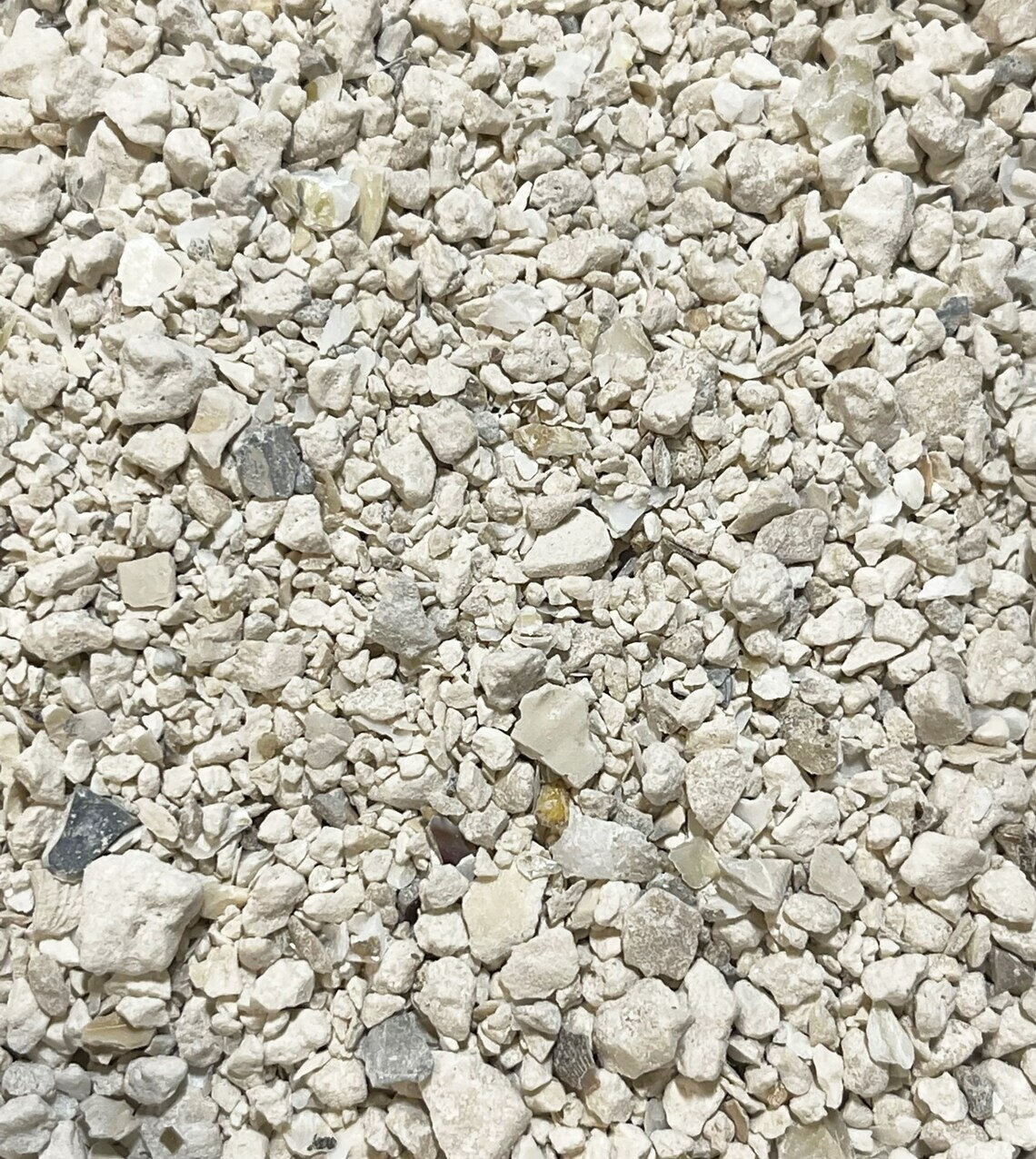Crushed Oyster Shells - 20 Pounds