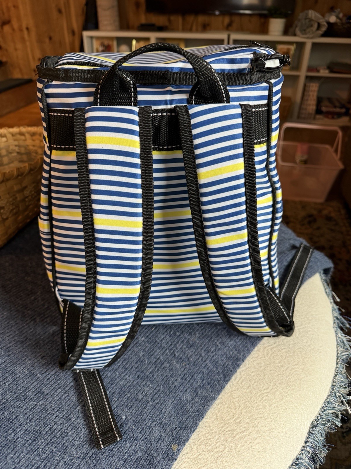 Scout backpack cooler Lightly Insulated lined Beach Pool Trip Hiking Excursions