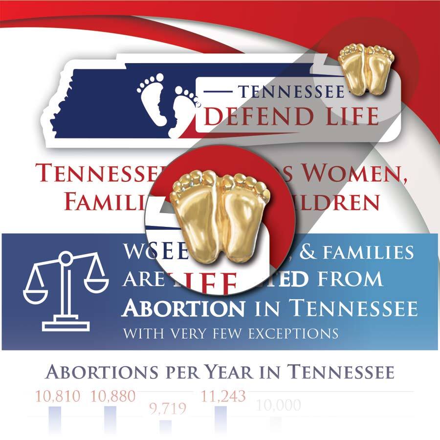Precious Feet, Gold-Colored, Tennessee Stats Card Jewelry, Lapel Pin