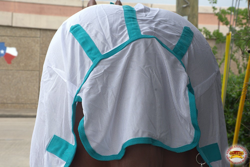 HILASON Horse Fly Sheet UV Protect Breathable Mesh Bug Mosquito Spring | Summer