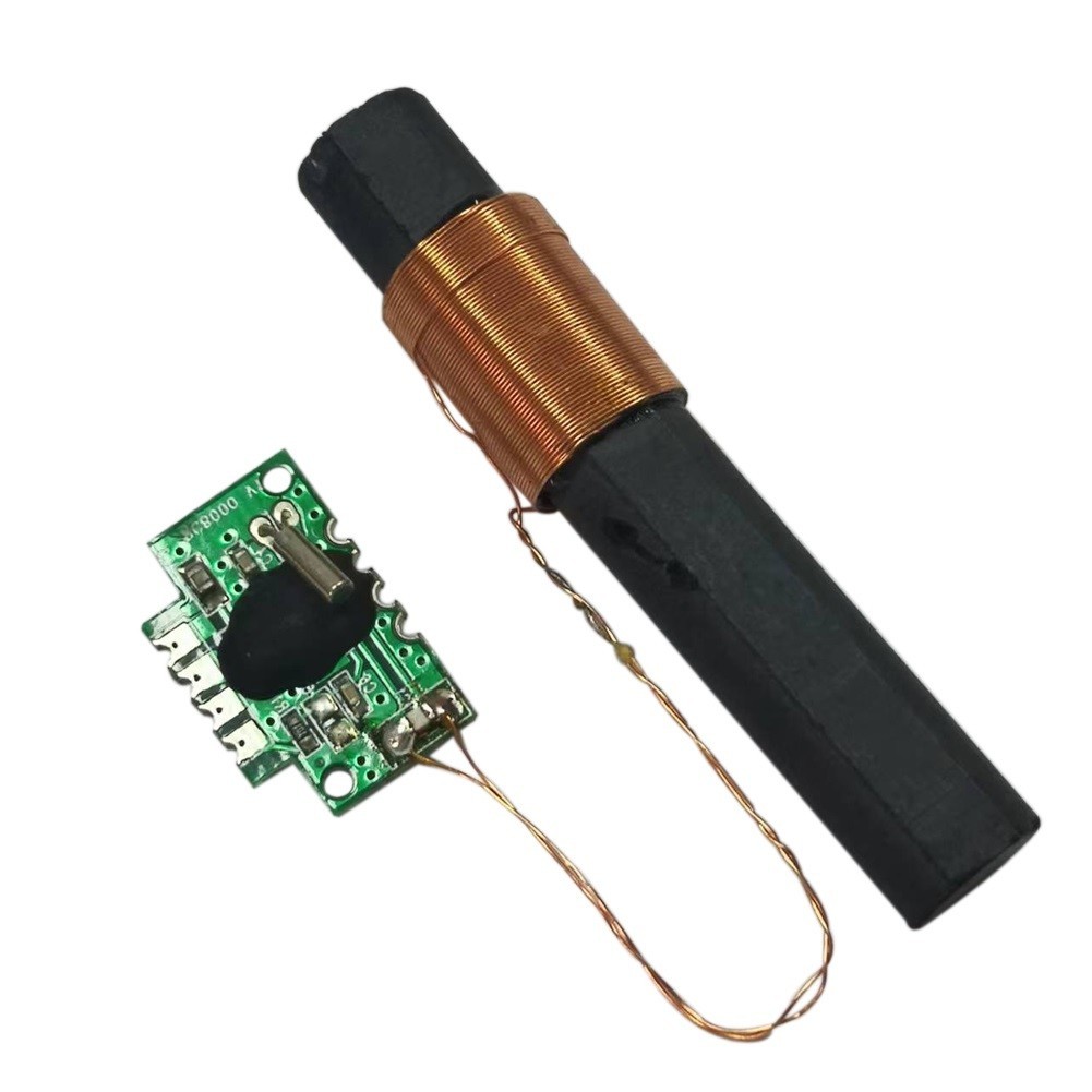 DCF 77 Receiver Module Integrated Circuits Radio Time Module 60x10mm DCF77 Pin T