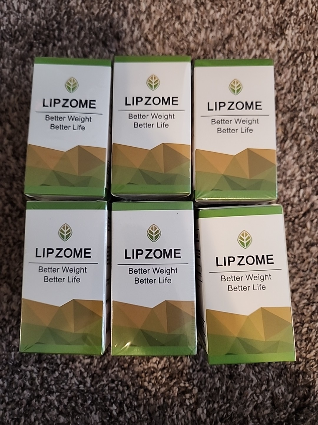 Lot 6 New Sealed Natural Lipozome Capsules Support Weight Management Gut Health