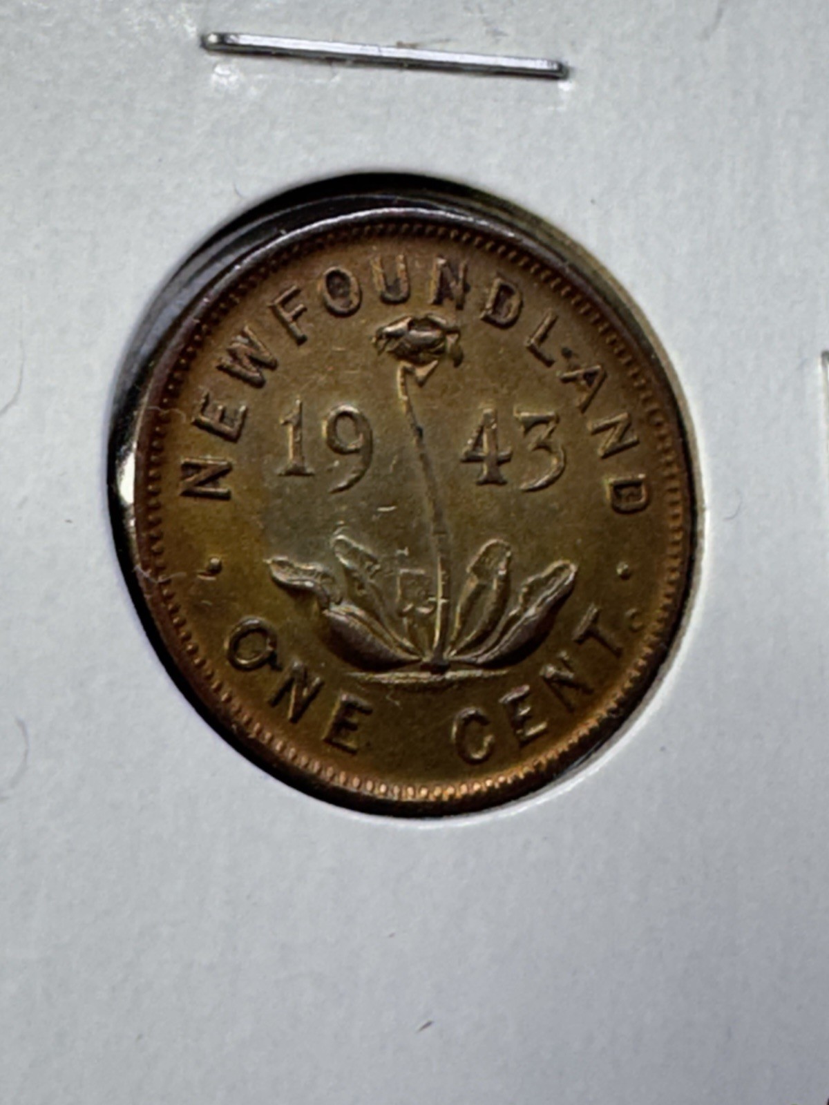 1943-C Newfoundland Small Cent