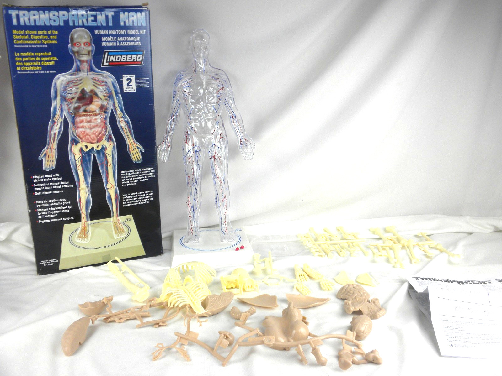 Lindberg Transparent Man Science Anatomy Model Kit # 76009  Open Box- Complete