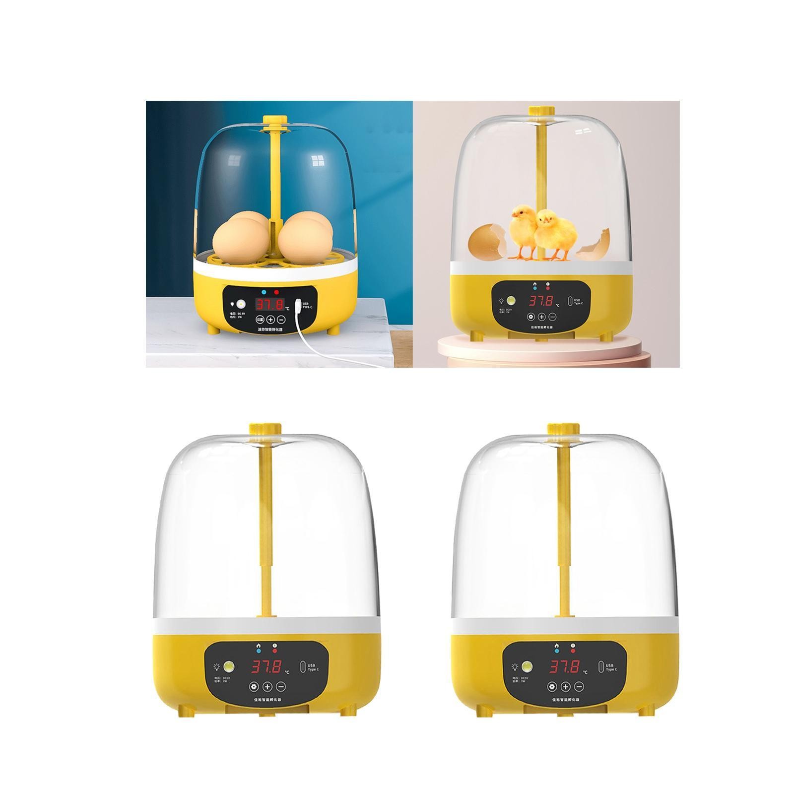 Digital Egg Incubator Portable Hatching Egg Turner Tray Holds 4 Eggs Digital