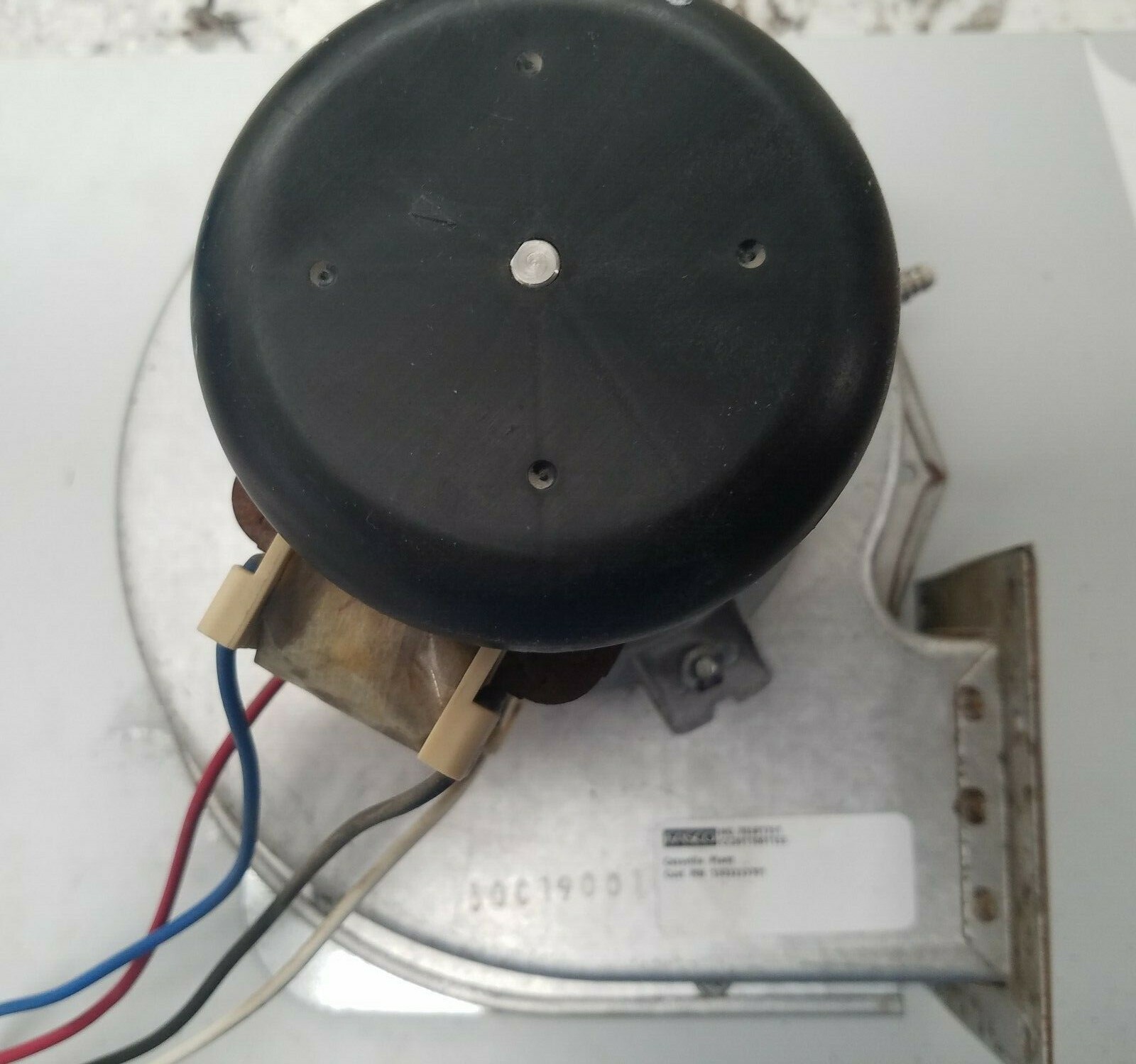 Hayward H-Series Combustion Blower, Pre-owned