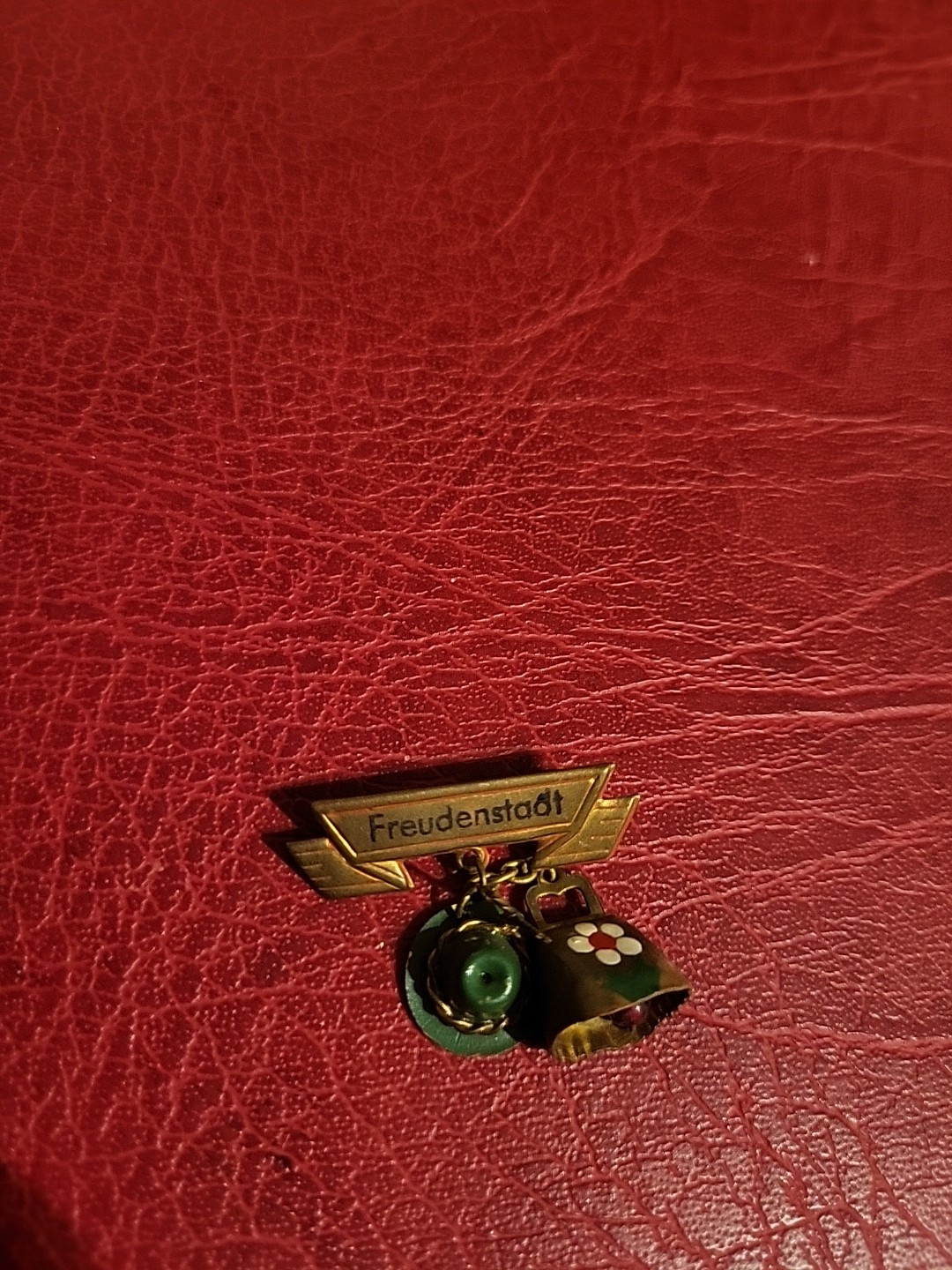 Vintage Pin Hatpin Hiking Pin Brooch Freudenstadt