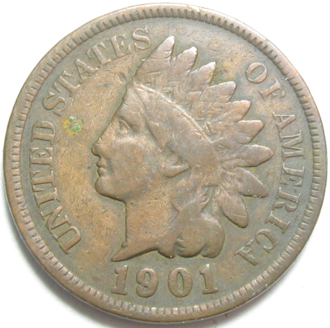 1901 Indian Head Cent - #11412-28
