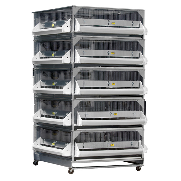 NEW GQF 0705 - Game Bird Poultry Stacked Grow Off Pen Chickens Ducks MADE IN USA