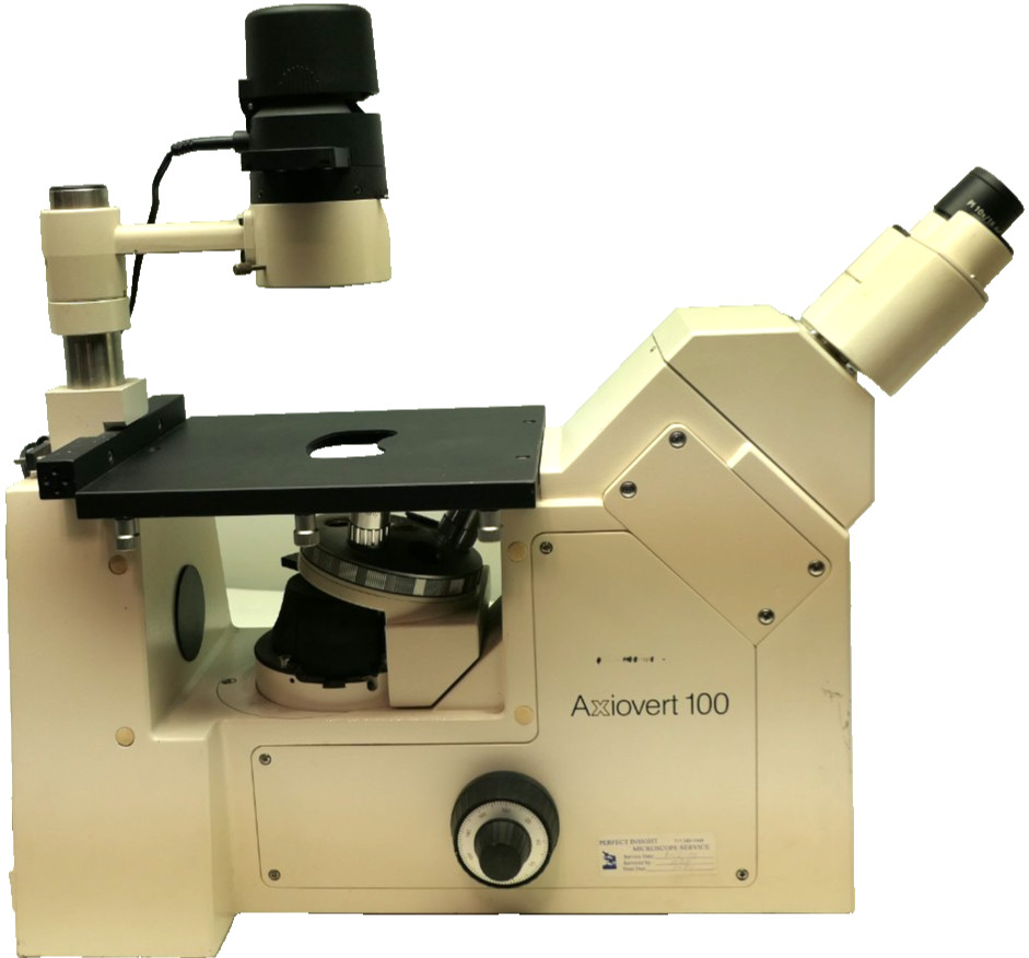 Zeiss Axiovert 100 Inverted Phase Microscope