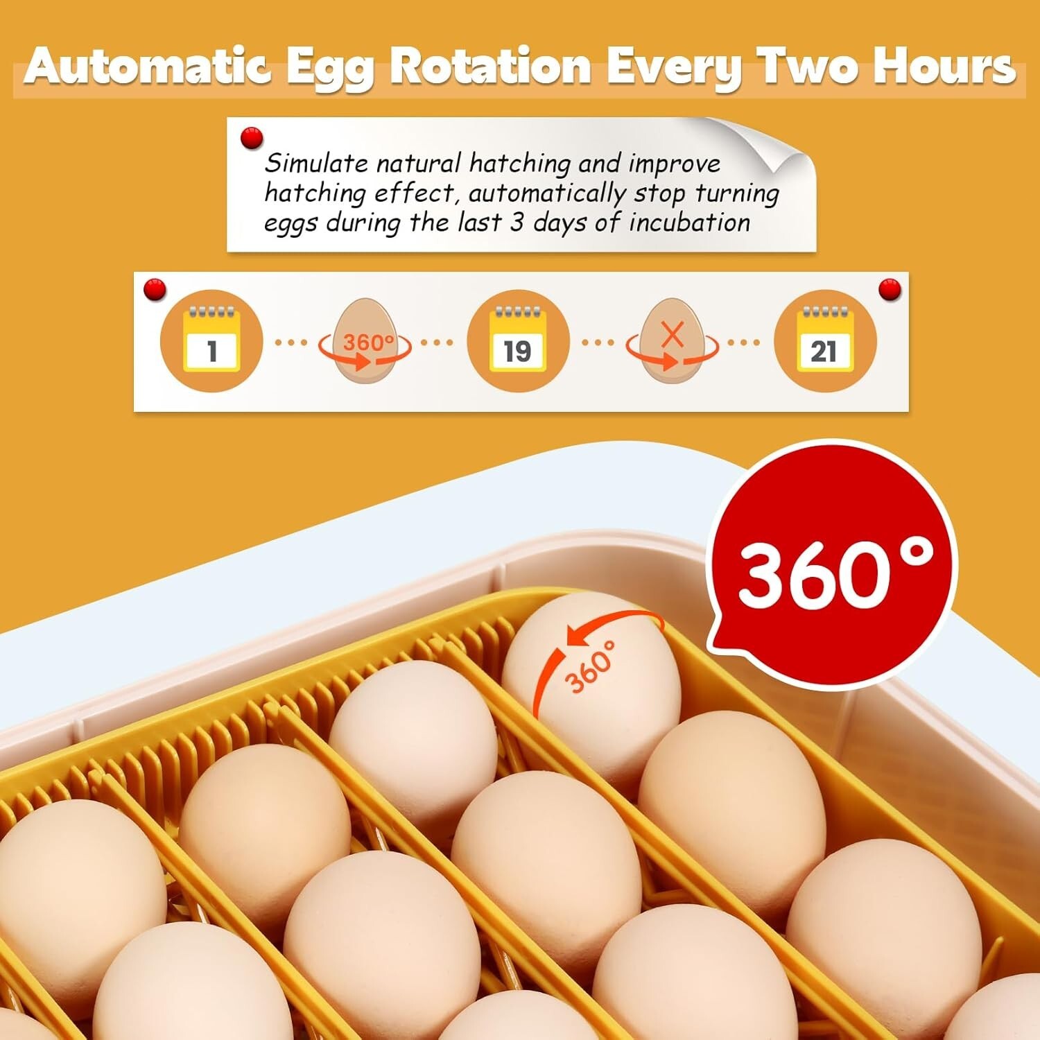 56~70 Egg Incubator for Hatching Egg w/ Automatic Egg Turning Built-In Candler
