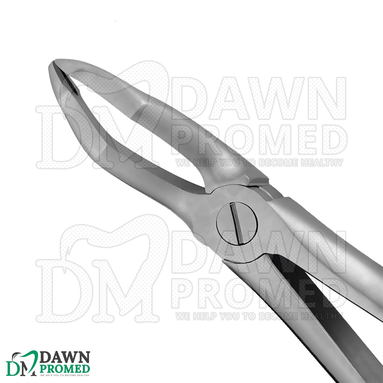 Dental Extracting Forceps #51Z Gold Hollow Python Grip Handle German Grade