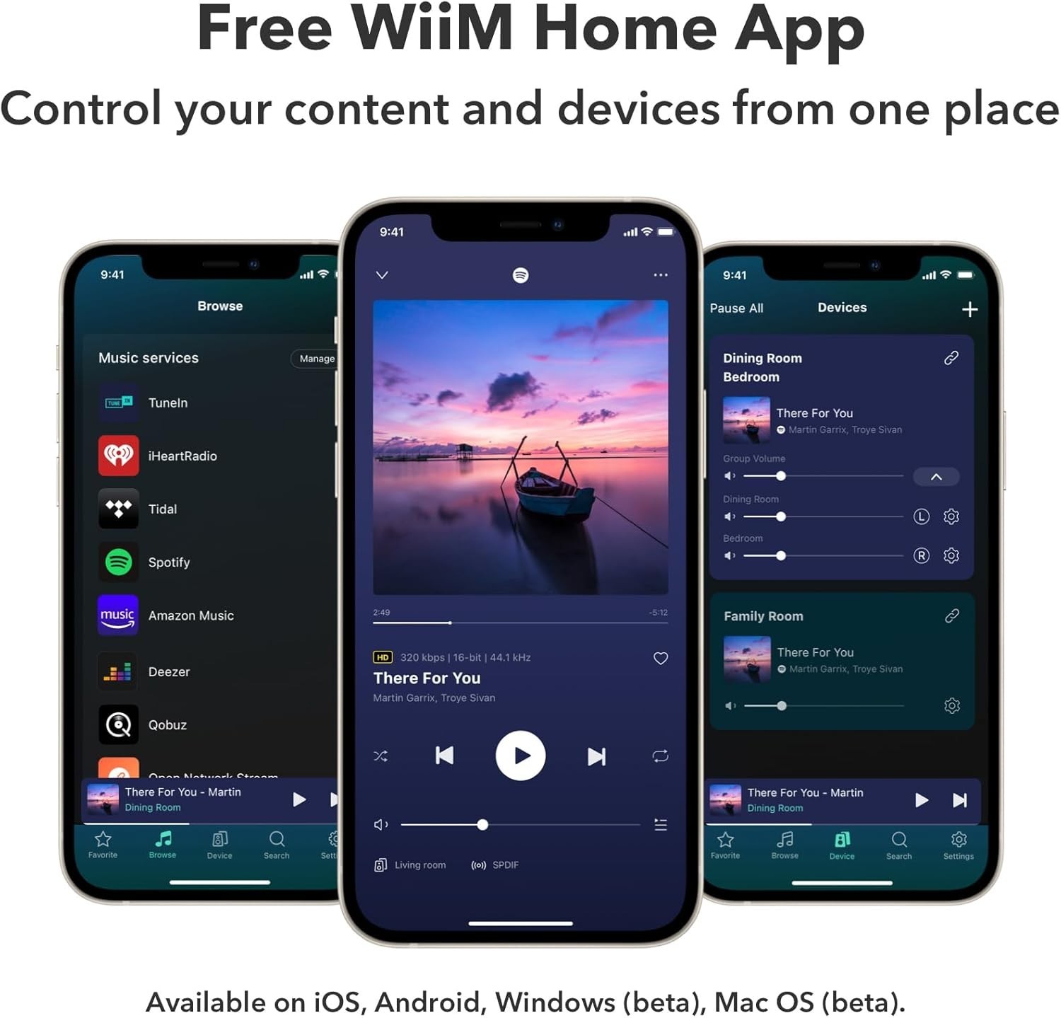 WiiM Pro Plus AirPlay 2 Receiver, Google Cast Audio, Multiroom Streamer
