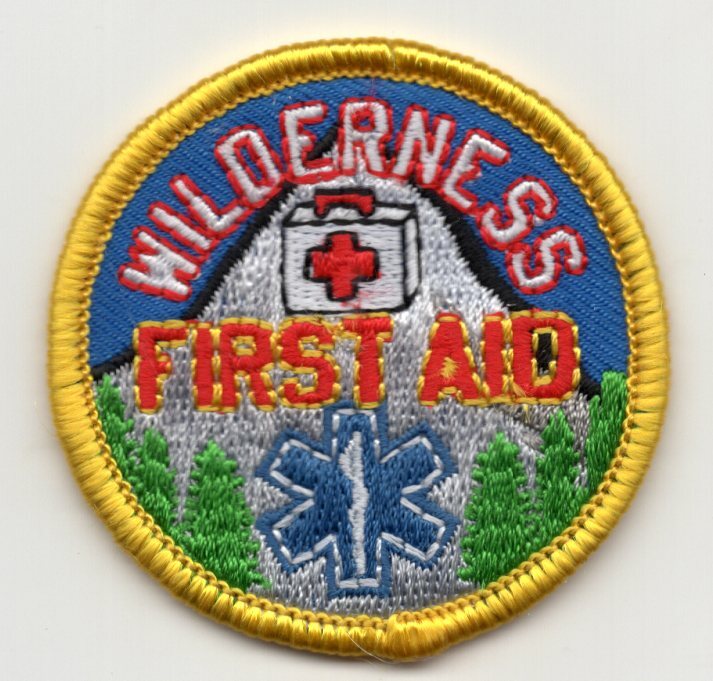 WILDERNESS FIRST AID Iron On Patch Nurse Profession Medical Medic